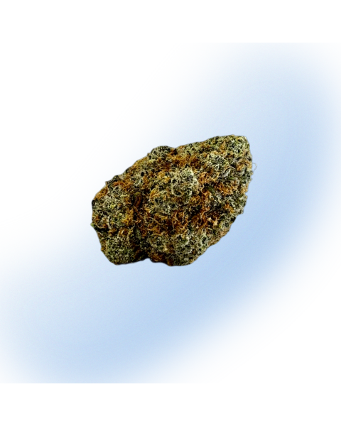 Mad Scientist Platinum Flower - Biscotti Sherbert | Indica Hybrid 34.72%