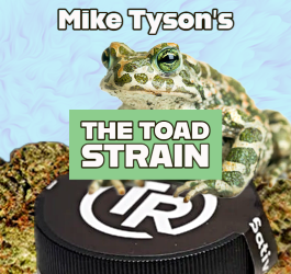 The Toad Strain