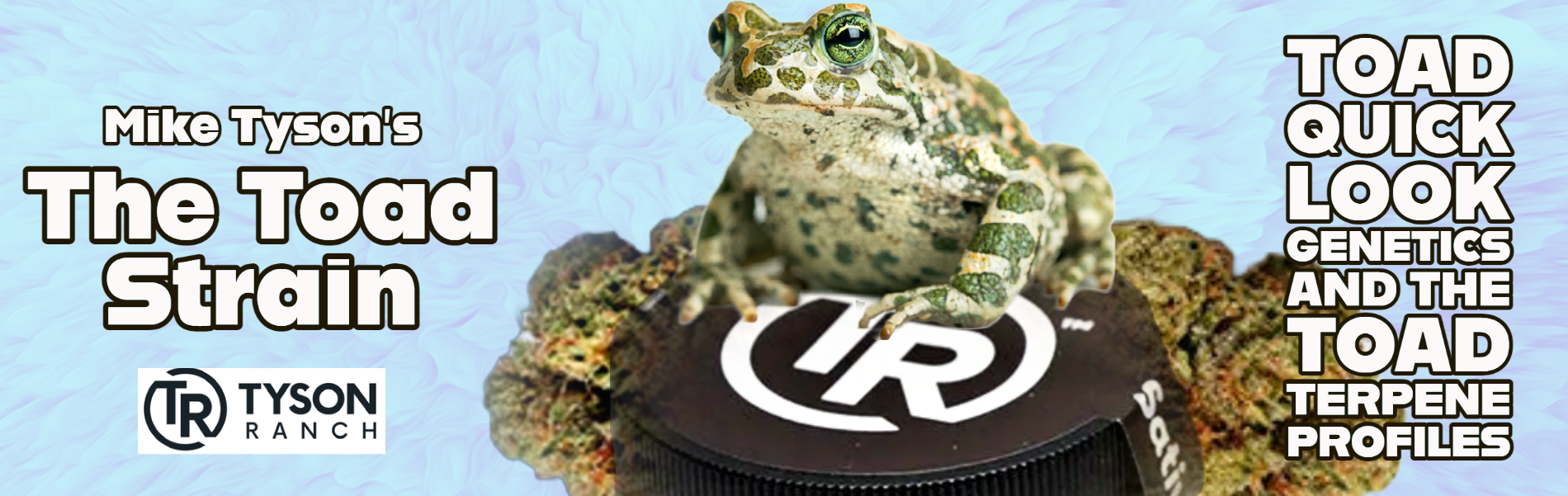 The Toad Strain | Mike Tyson Blunt Wraps